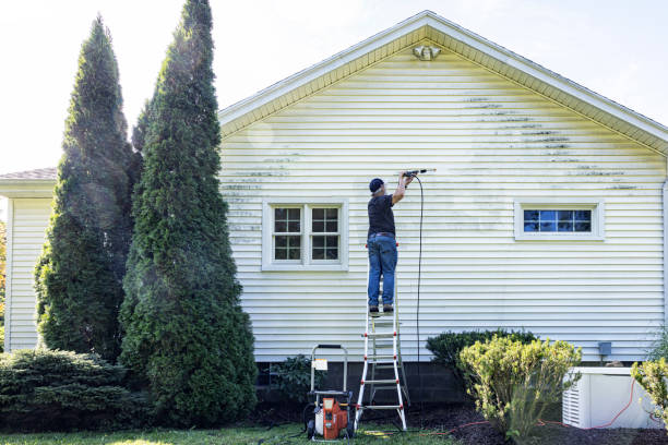 Best Residential Pressure Washing Services  in Brentwood, MO